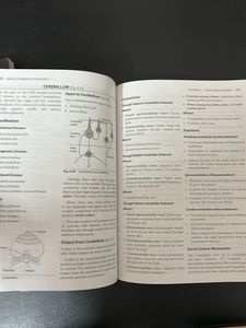 Basics of Medical Physiology