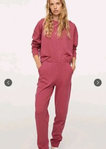 MANGO Joggers in Size M