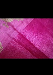 beautiful saree with blouse