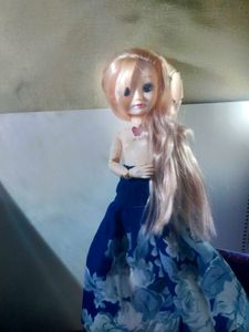 Collectible korean fashion doll.
