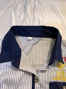"Lucky Rooster" Striped Button-Up🥢