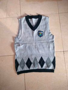 Argyle Sweater Vest 🦺🧙🧋
