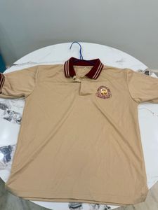 Men's Beige Polo T-Shirt (pack of 3)