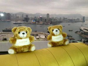 Rare vintage Conrad Hong Kong Hotel Teddy Bear
