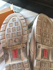 Boys school shoes