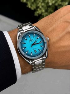 Omega Seamaster Aqua Terra Watch
