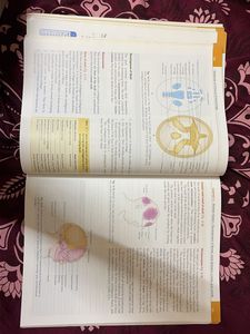 Textbook of Clinical Embryology