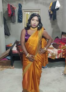 Elegant Saree - Golden Hues