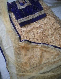 Elegant Royal Blue Velvet Blouse &amp; Net Lehenga
