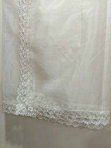 Pure Organza Dupatta With Lace All Border