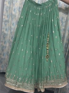 Pastel Green Embroidered Lehenga with Matching Blo