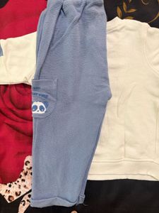 Cute Koala Print Sweatshirt/with pant set