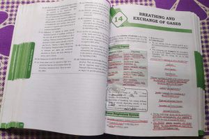 45 Days Most Wanted NEET Biology Book