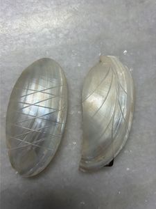 Elegant Mother of Pearl hair clips (set o
