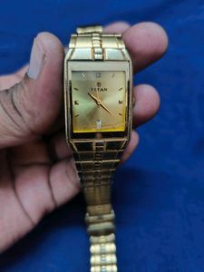 Titan Golden Analog Watch