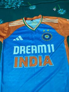 Dream India Jersey