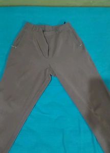 Women's Brown Tailored Trousers