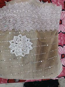 Elegant Sequin Embellished saree