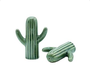 Cute Cactus Salt and Pepper Shakers
