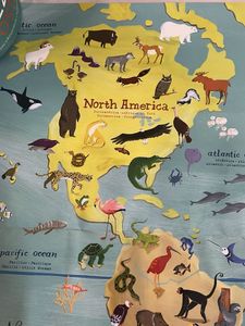 World of Animals Puzzle
