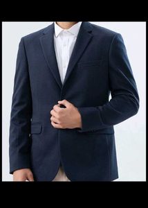 raymonds blazer