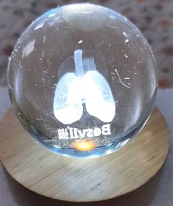 Crystal Lungs Light Lamp