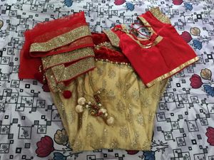 Red and Golden embellished Lehenga choli  ♥️✨