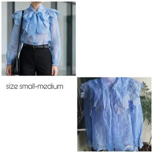Chic Blue Embroidered Blouse