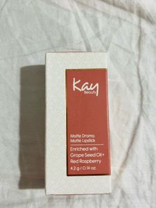 Kay Beauty Matte Drama Lipstick- Snapshot