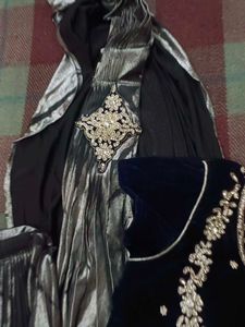 Elegant Ethnic indowestern saree
