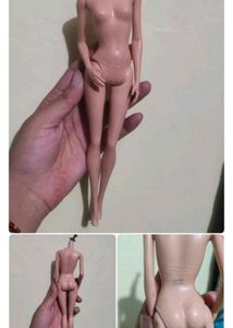 combo of dolls body