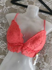 No boundaries Coral Lace Bralette