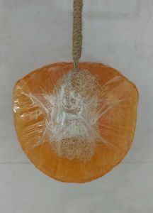 Honey Bee Honeycomb Soap
