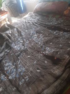 badalpuri Floral  design Saree