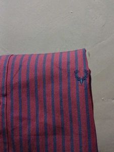 Allen Solly Striped Men's Shirt