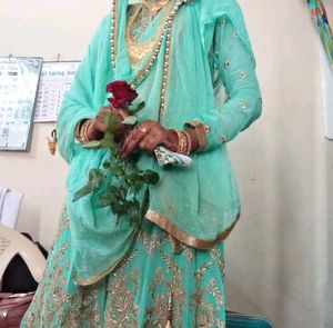 Elegant Indian Salwar Suit