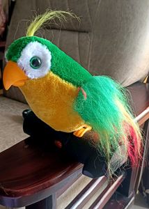 TalkBack Parrot Toy
