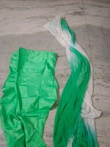 Elegant White &amp; Green Embroidered Salwar Kameez
