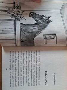 Black Beauty Classic Novel Hardcover