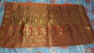 Orange Saree with Gold Motifs