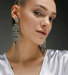 RUNWAY MODEL Dazzling Earrings