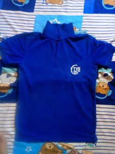 Men's Blue Graphic T-Shirt