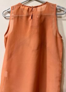 Dressberry Chic peach Lace Top