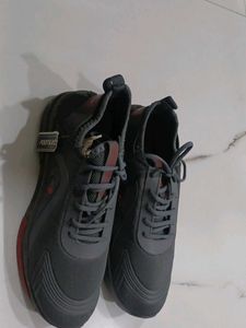 Men's Stylish Grey Sneakers