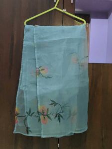 Organza dupatta 🩵