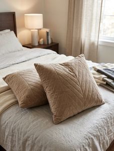 new Velvet Accent Pillows (Set of 2)