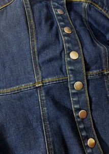 Forever 21 Denim Dress
