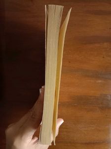 William Golding "The Spire" Novel