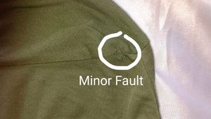 Olive Green Long Sleeve Top