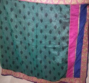 Elegant Ethnic Saree with Embellished Border 8oo